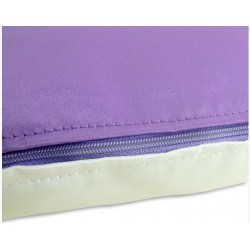 Cojín con reverso de color